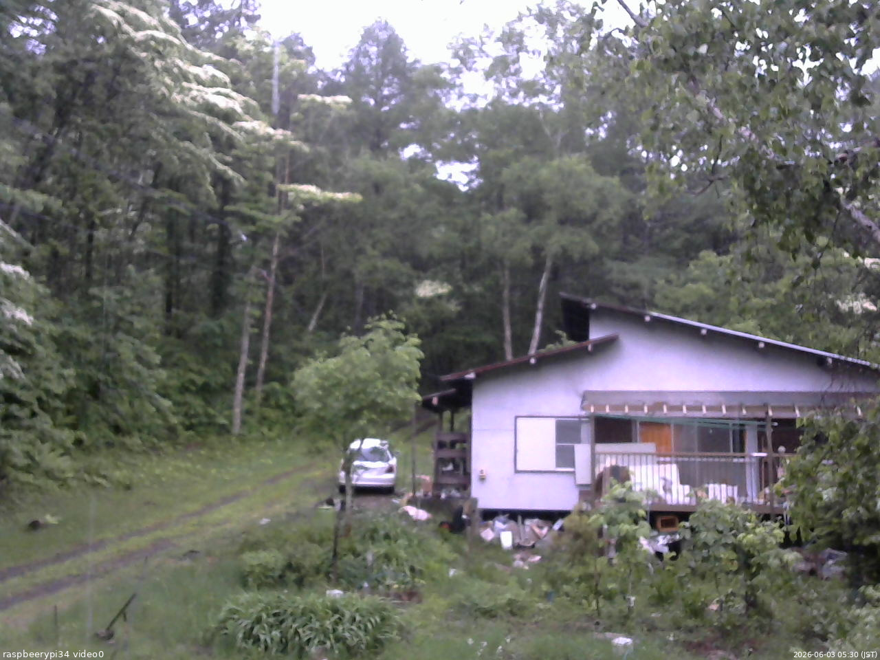 長野県菅平高原 ゆたか山荘 西側(坂上) 2026/06/03 05:30