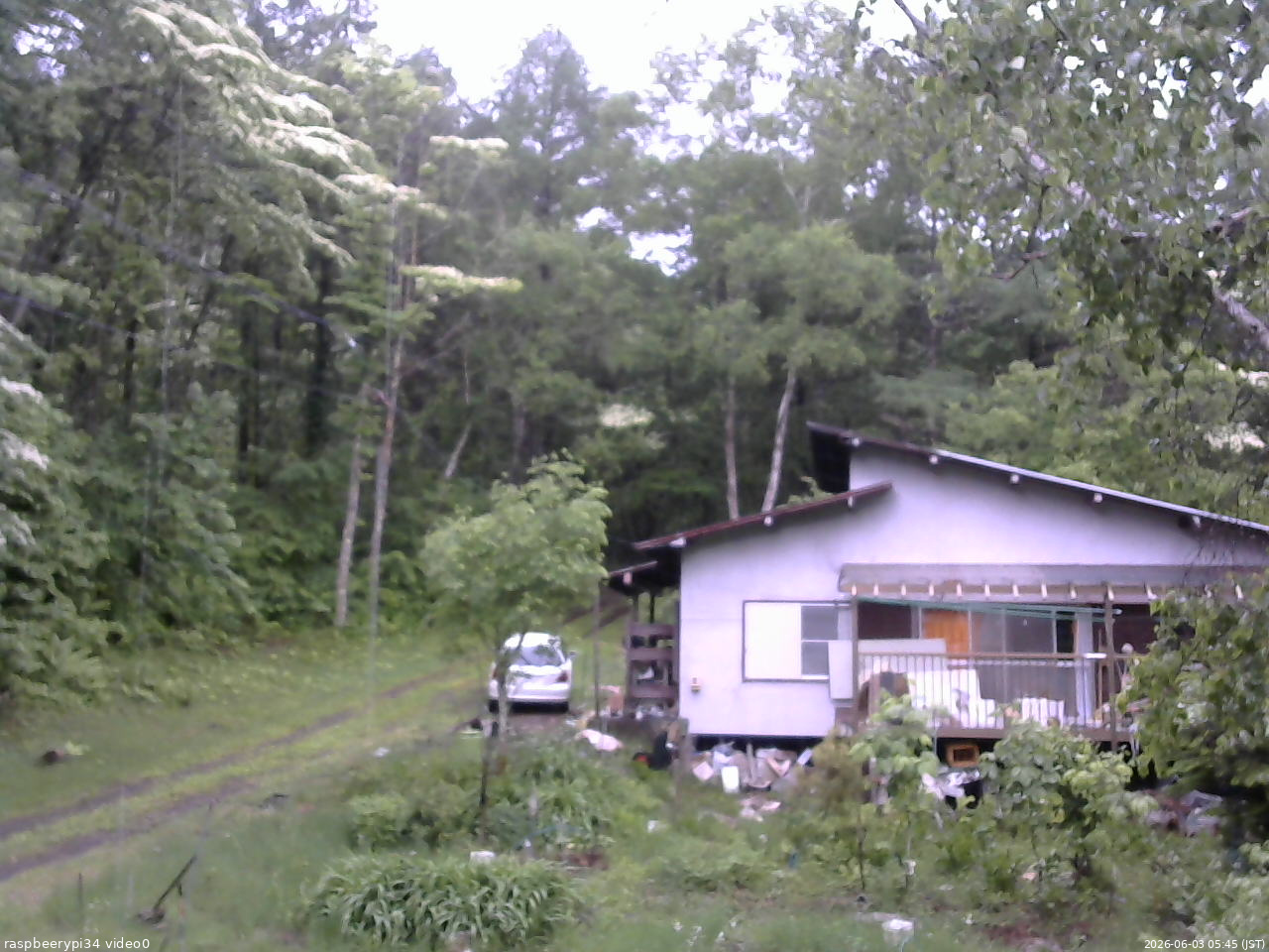 長野県菅平高原 ゆたか山荘 西側(坂上) 2026/06/03 05:45