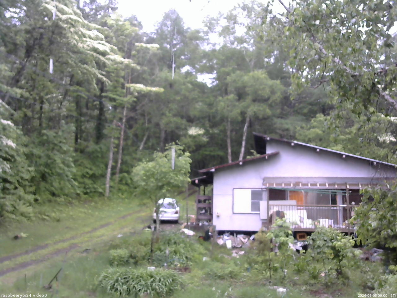 長野県菅平高原 ゆたか山荘 西側(坂上) 2026/06/03 09:00