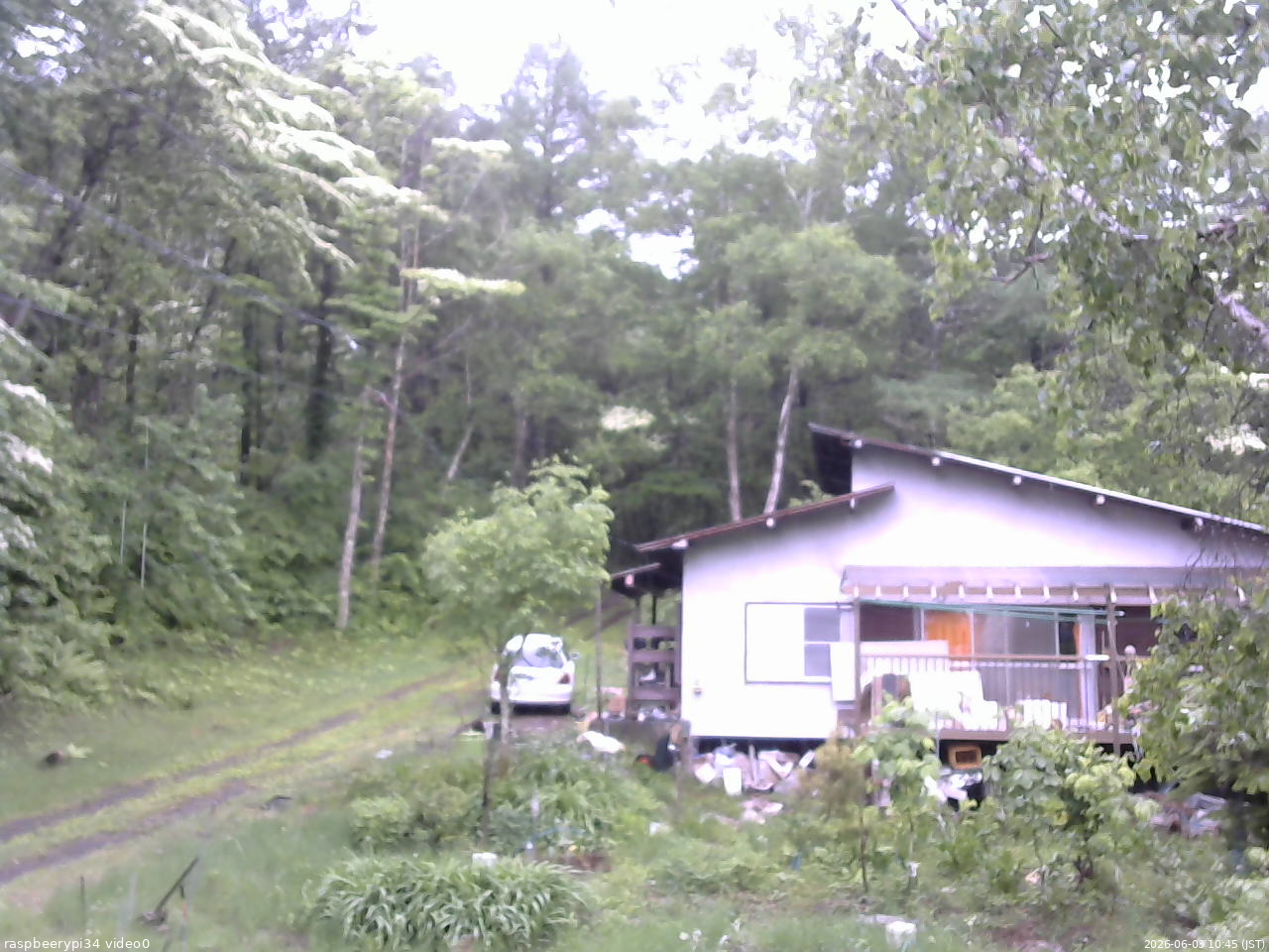 長野県菅平高原 ゆたか山荘 西側(坂上) 2026/06/03 10:45