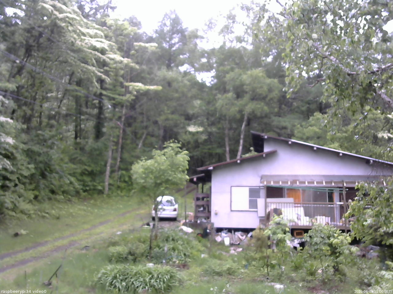 長野県菅平高原 ゆたか山荘 西側(坂上) 2026/06/03 11:00