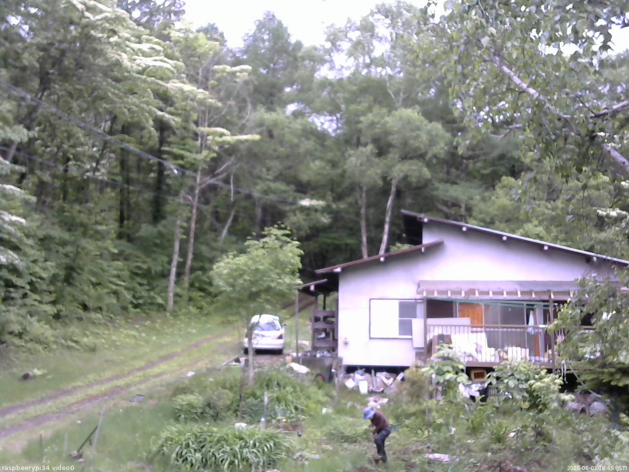 長野県菅平高原 ゆたか山荘 西側(坂上) 2026/06/03 16:45