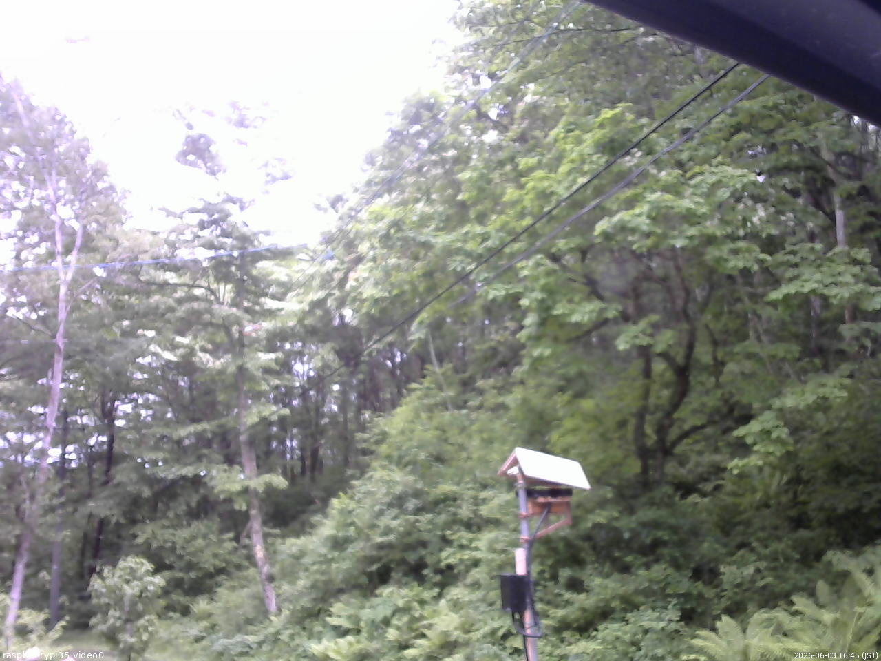 長野県菅平高原 ゆたか山荘 温度計 2026/06/03 16:45
