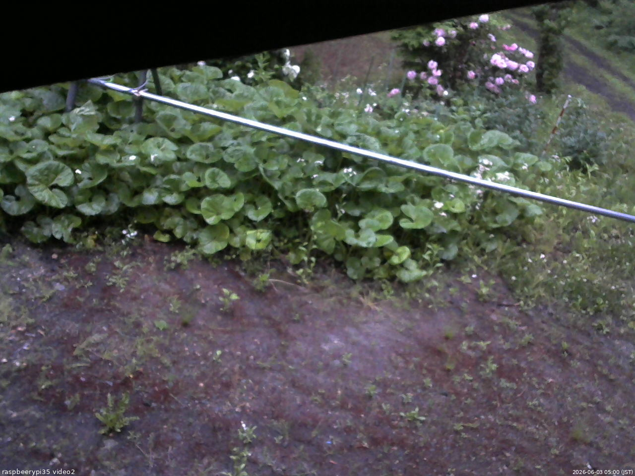 長野県菅平高原 ゆたか山荘 駐車場 2026/06/03 05:00