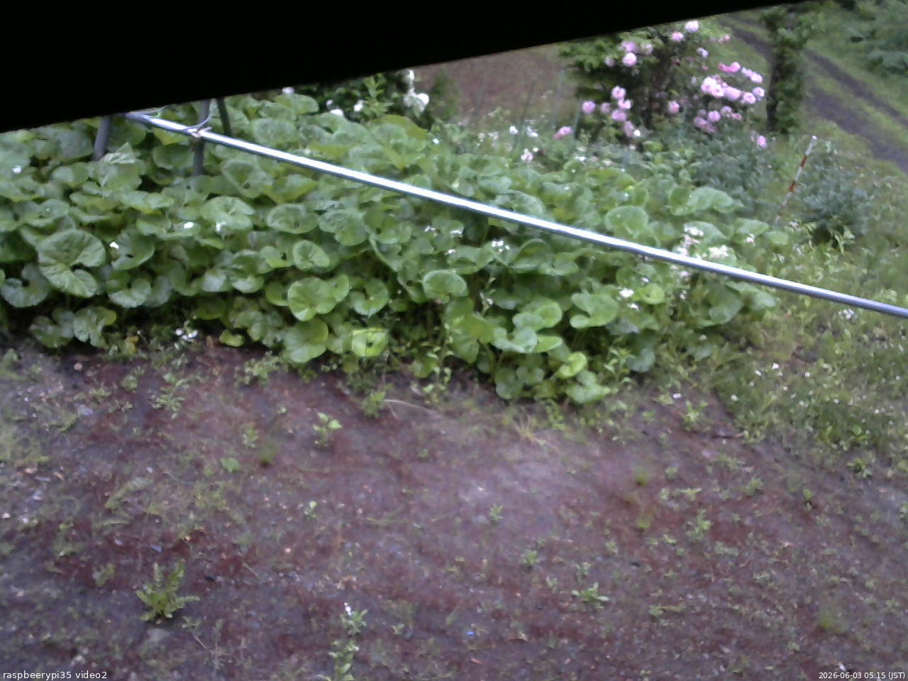 長野県菅平高原 ゆたか山荘 駐車場 2026/06/03 05:15
