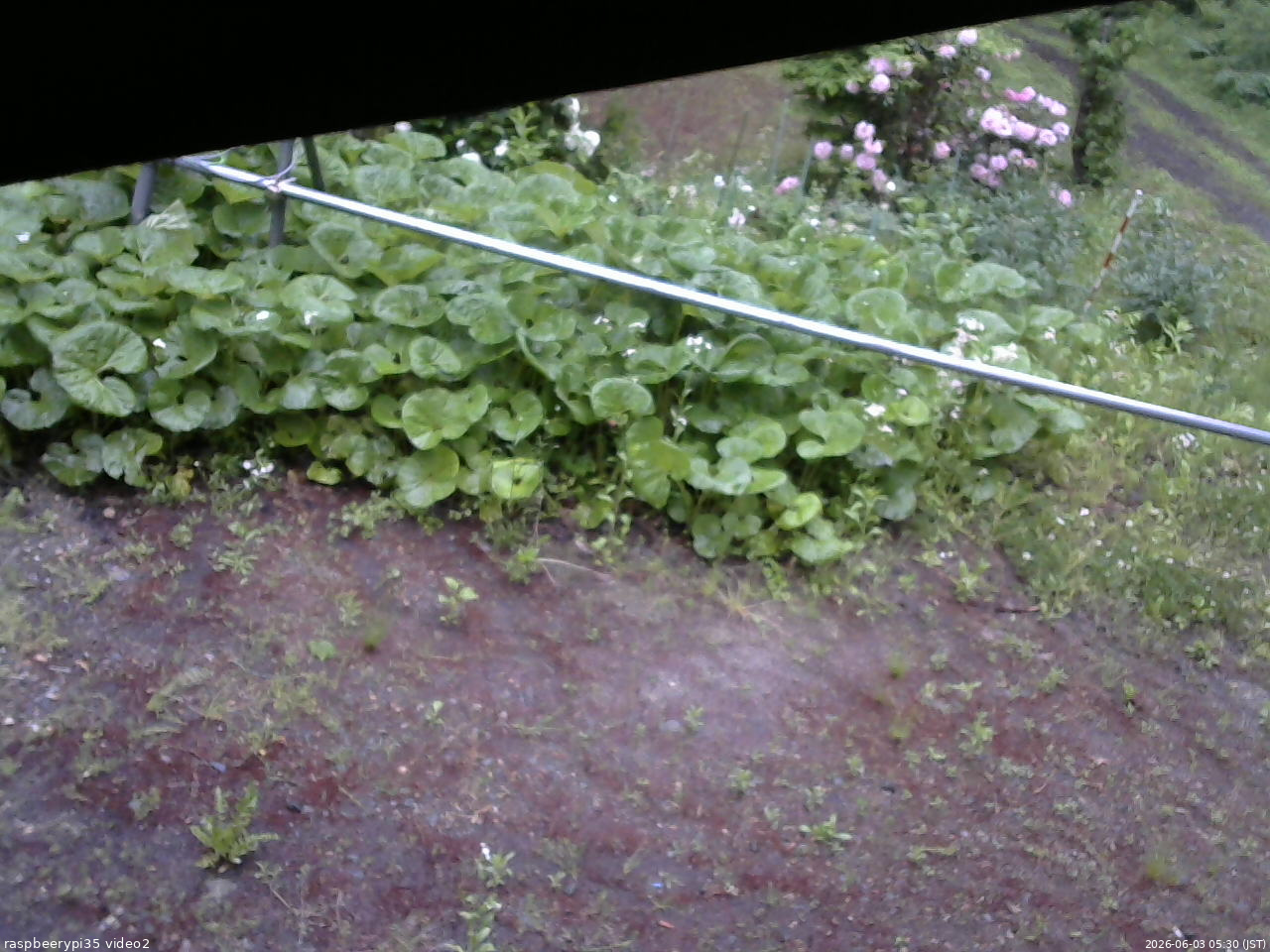 長野県菅平高原 ゆたか山荘 駐車場 2026/06/03 05:30
