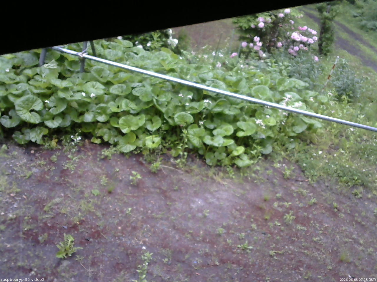 長野県菅平高原 ゆたか山荘 駐車場 2026/06/03 07:15