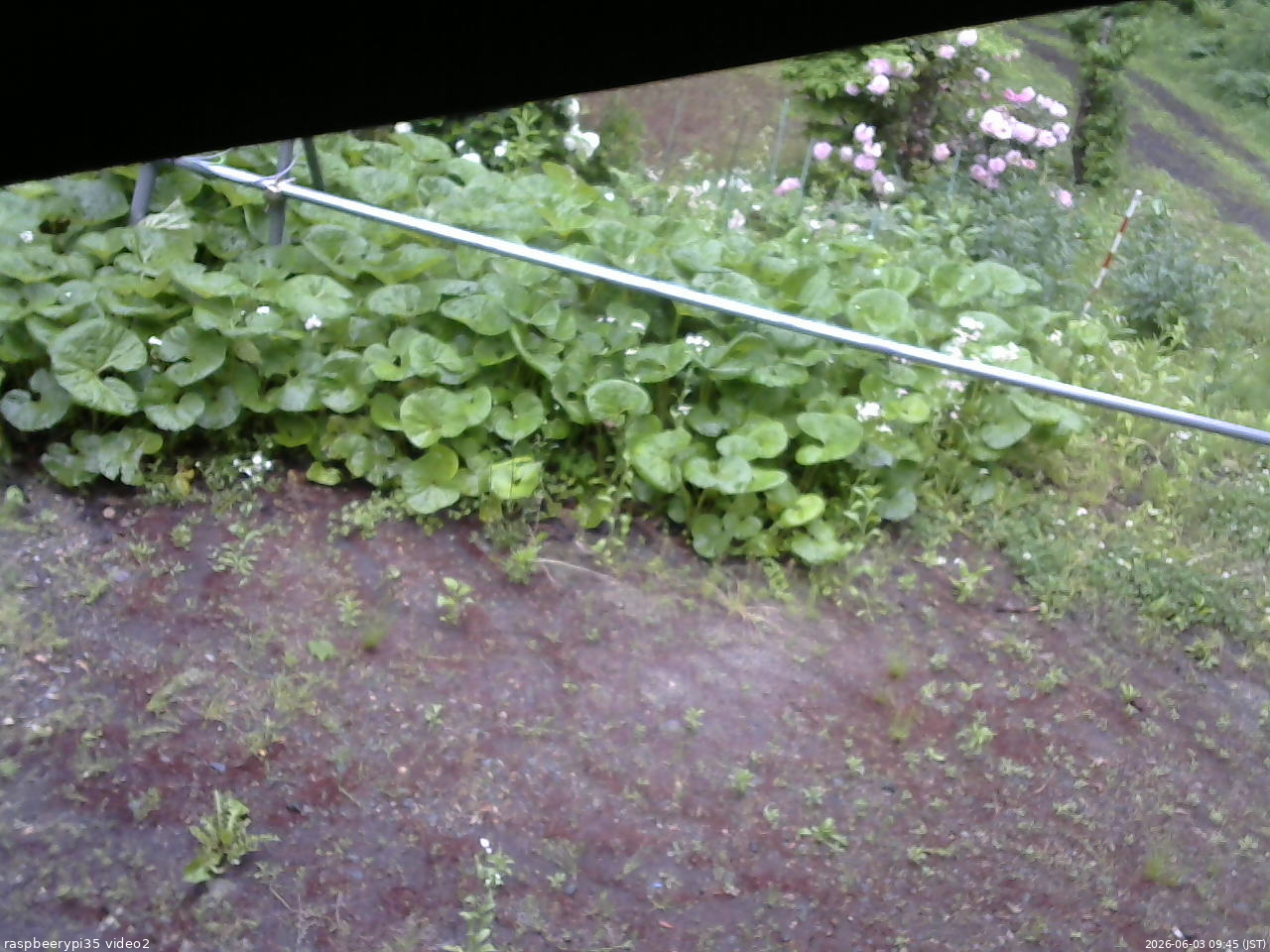 長野県菅平高原 ゆたか山荘 駐車場 2026/06/03 09:45