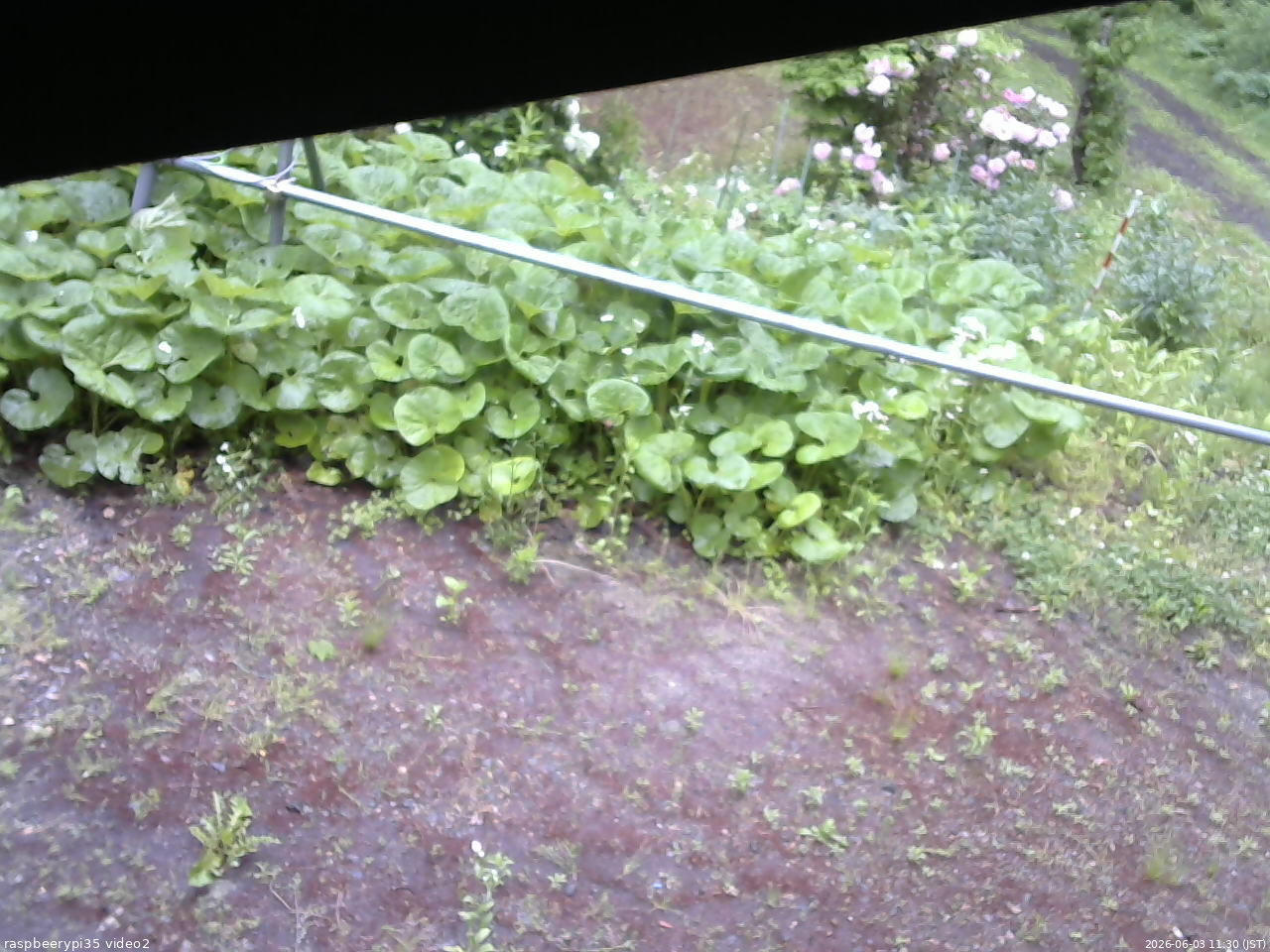 長野県菅平高原 ゆたか山荘 駐車場 2026/06/03 11:30
