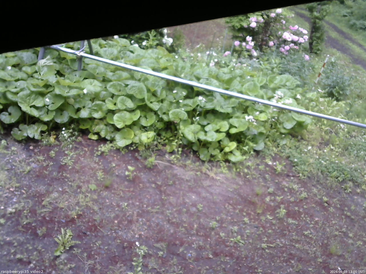 長野県菅平高原 ゆたか山荘 駐車場 2026/06/03 12:00