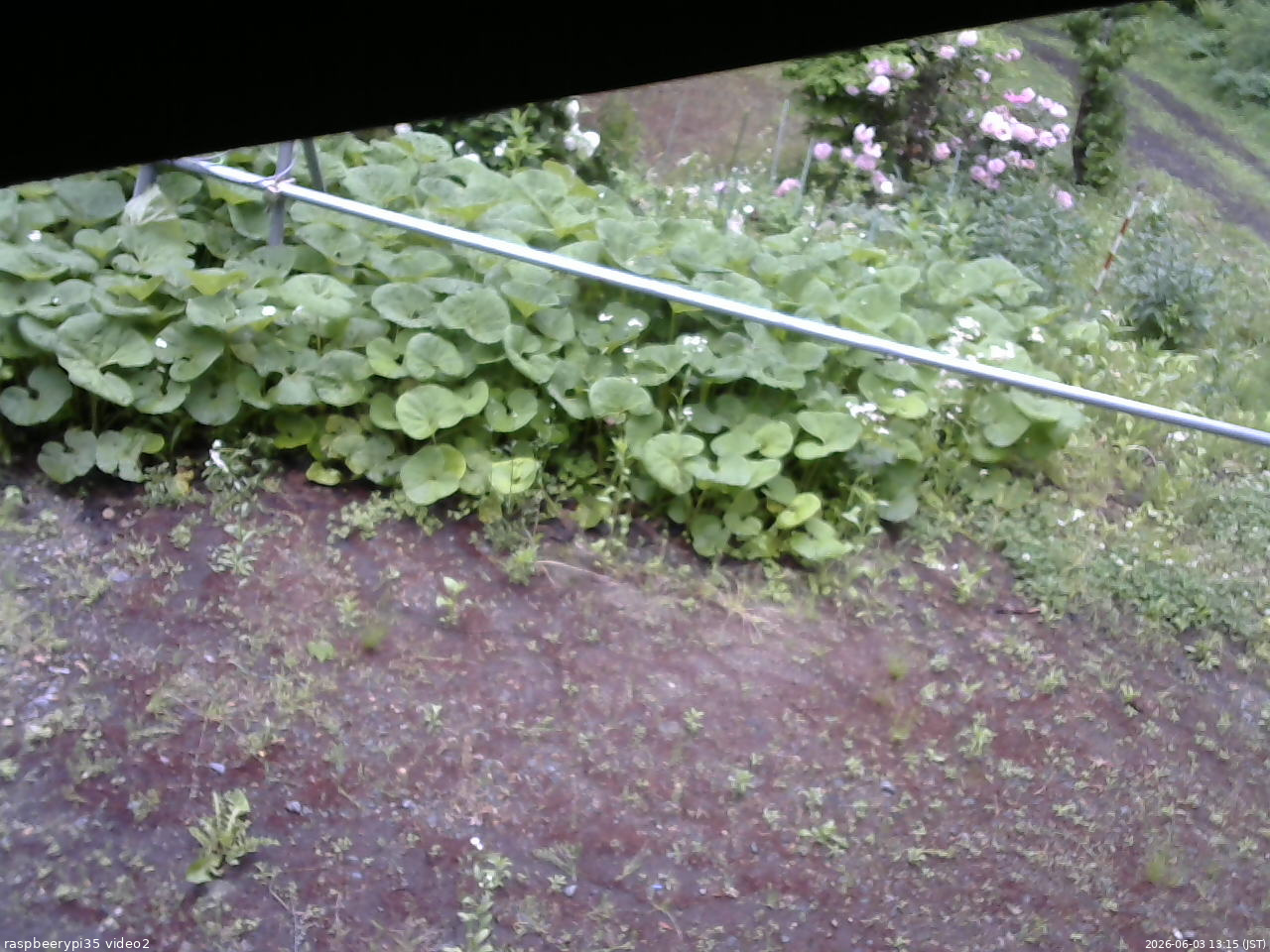 長野県菅平高原 ゆたか山荘 駐車場 2026/06/03 13:15