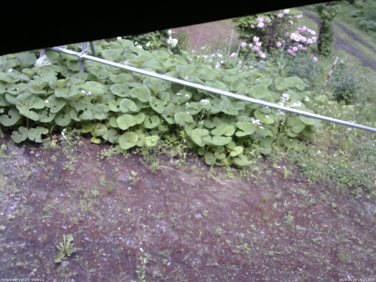 長野県菅平高原 ゆたか山荘 駐車場 2026/06/03 14:15