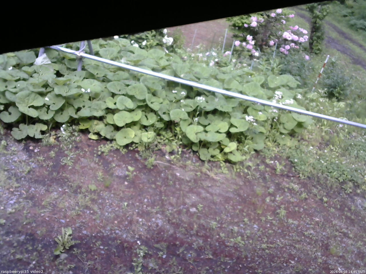 長野県菅平高原 ゆたか山荘 駐車場 2026/06/03 14:45