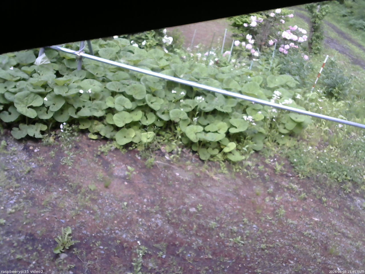 長野県菅平高原 ゆたか山荘 駐車場 2026/06/03 15:45