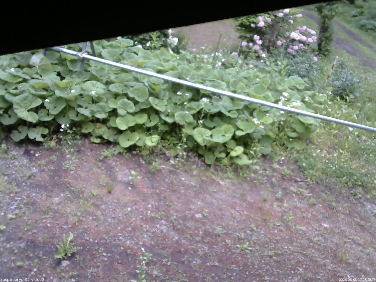 長野県菅平高原 ゆたか山荘 駐車場 2026/06/03 17:15