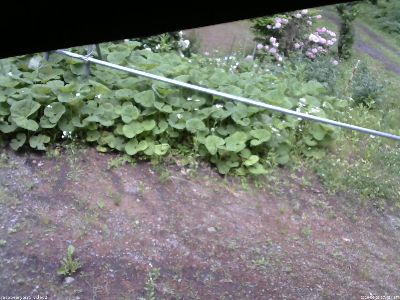 長野県菅平高原 ゆたか山荘 駐車場 2026/06/03 17:45
