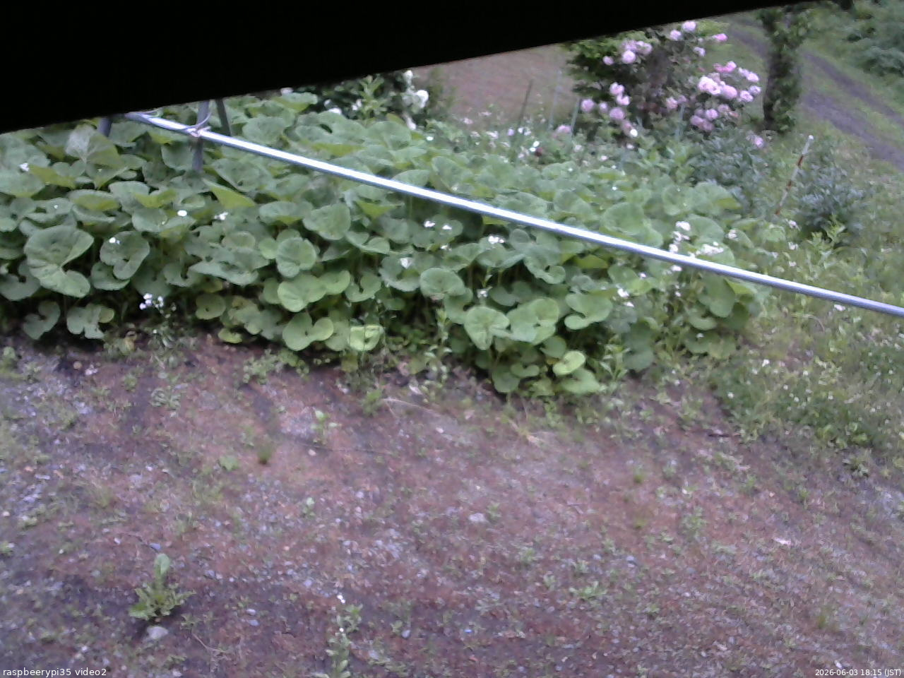 長野県菅平高原 ゆたか山荘 駐車場 2026/06/03 18:15