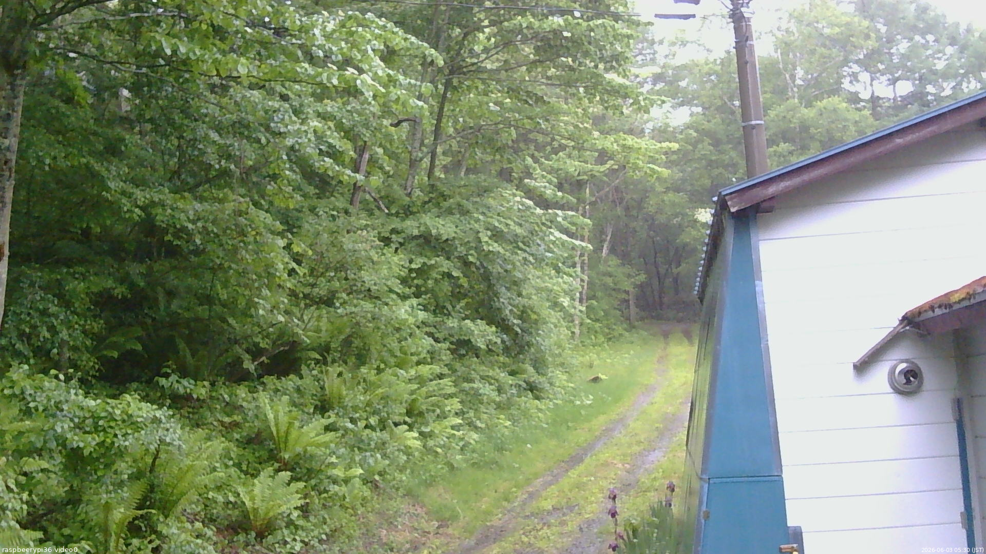長野県菅平高原 ゆたか山荘 ゆたか山荘 2026/06/03 05:30