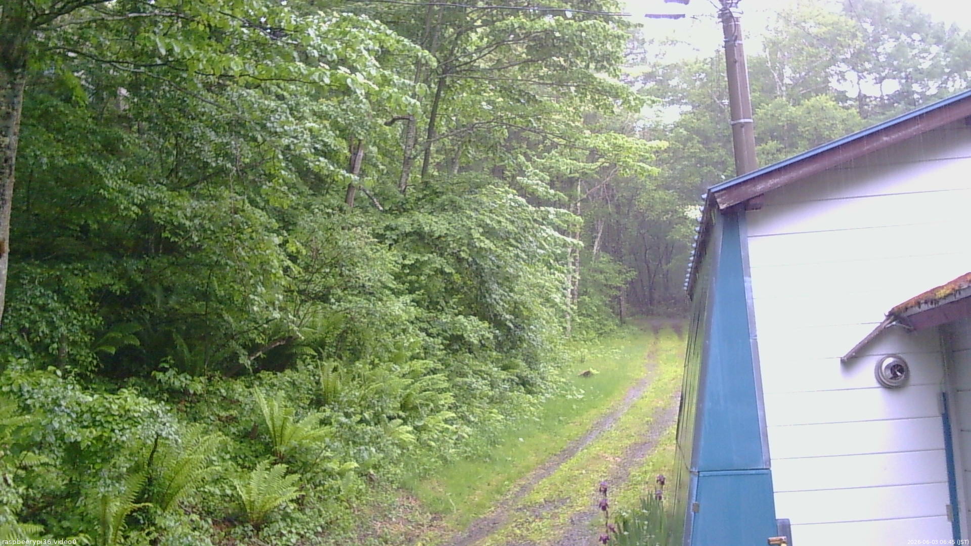 長野県菅平高原 ゆたか山荘 ゆたか山荘 2026/06/03 06:45