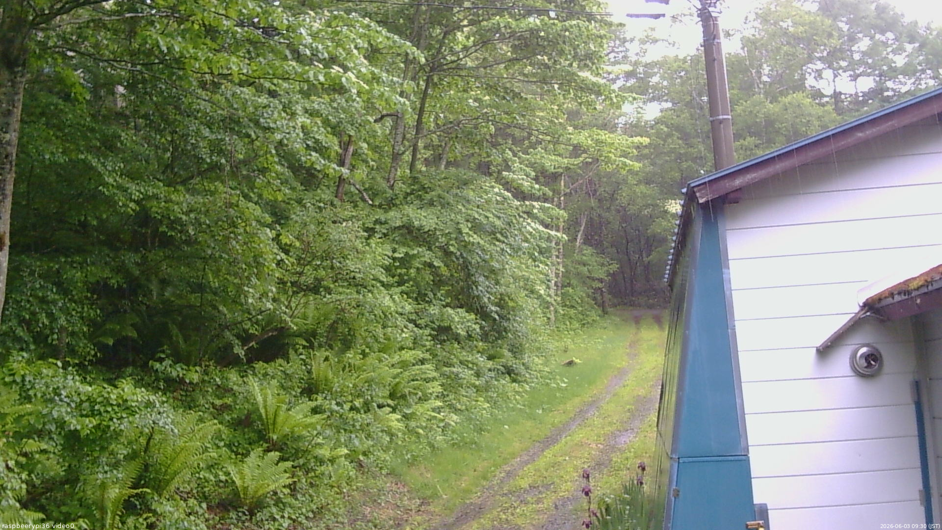 長野県菅平高原 ゆたか山荘 ゆたか山荘 2026/06/03 09:30