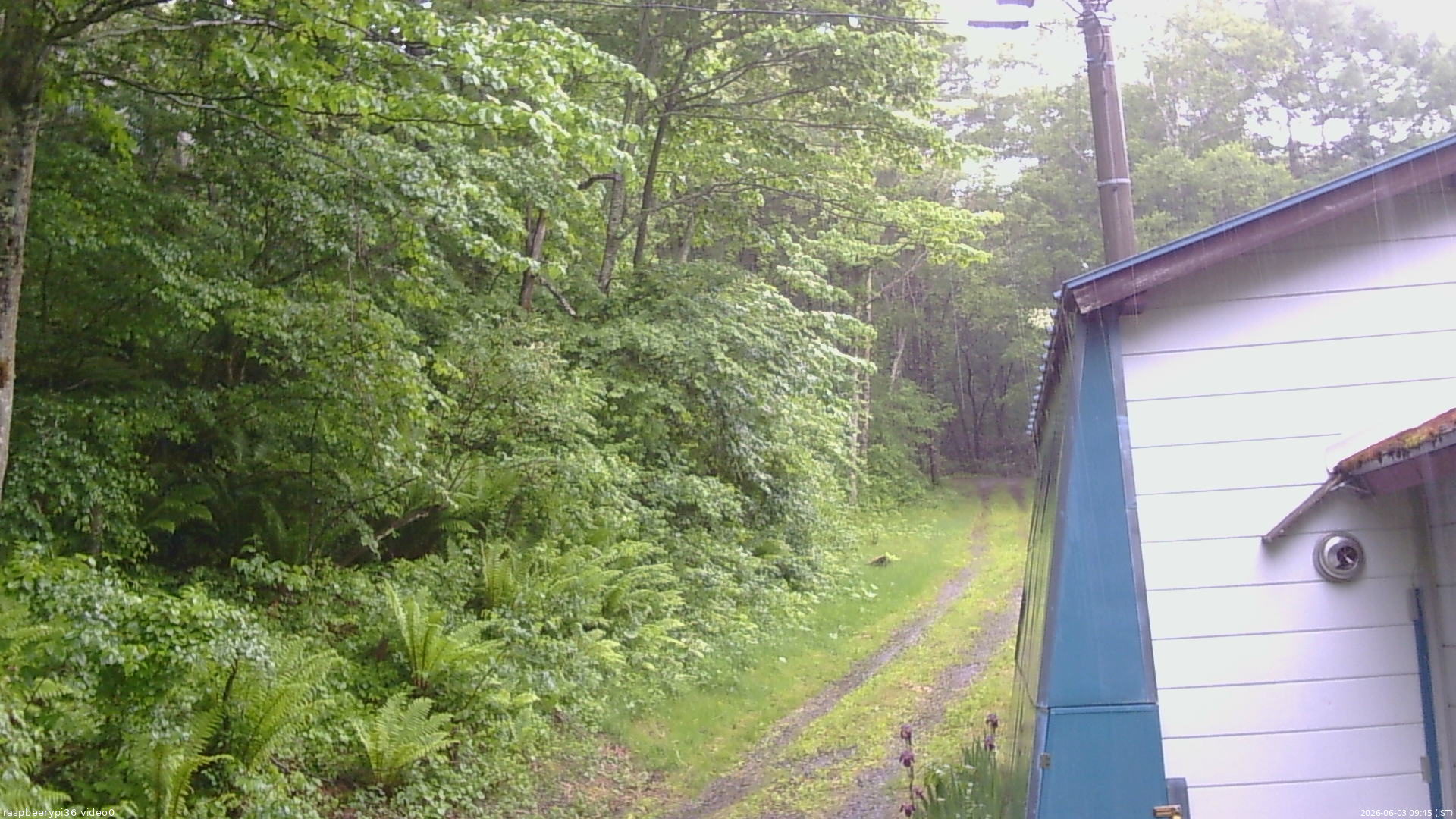 長野県菅平高原 ゆたか山荘 ゆたか山荘 2026/06/03 09:45