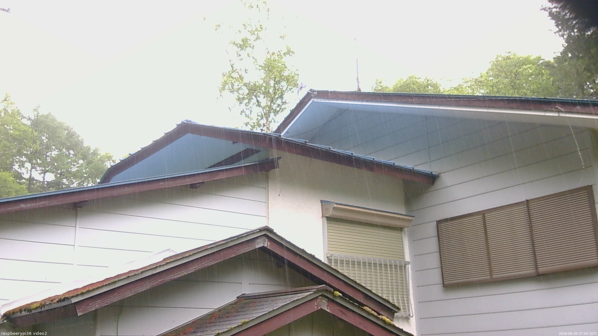 長野県菅平高原 ゆたか山荘 駐車場奥 2026/06/03 07:00