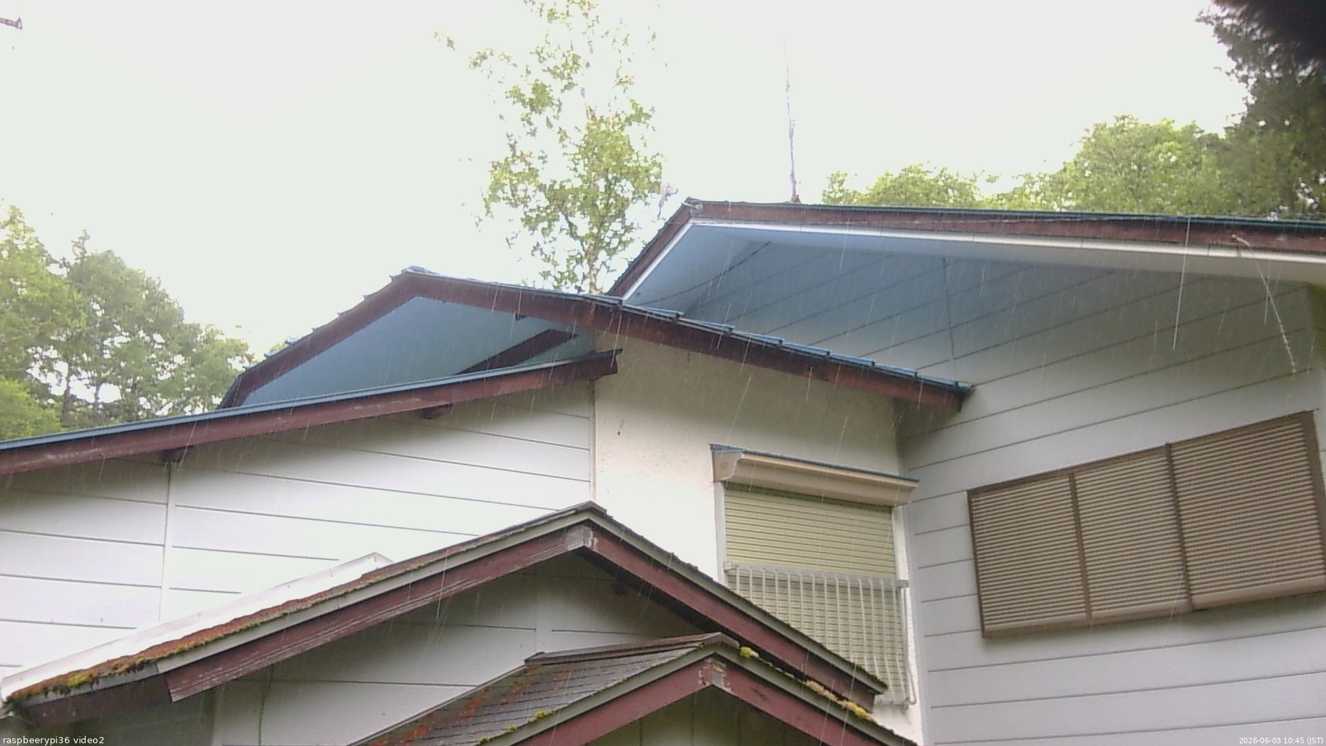 長野県菅平高原 ゆたか山荘 駐車場奥 2026/06/03 10:45