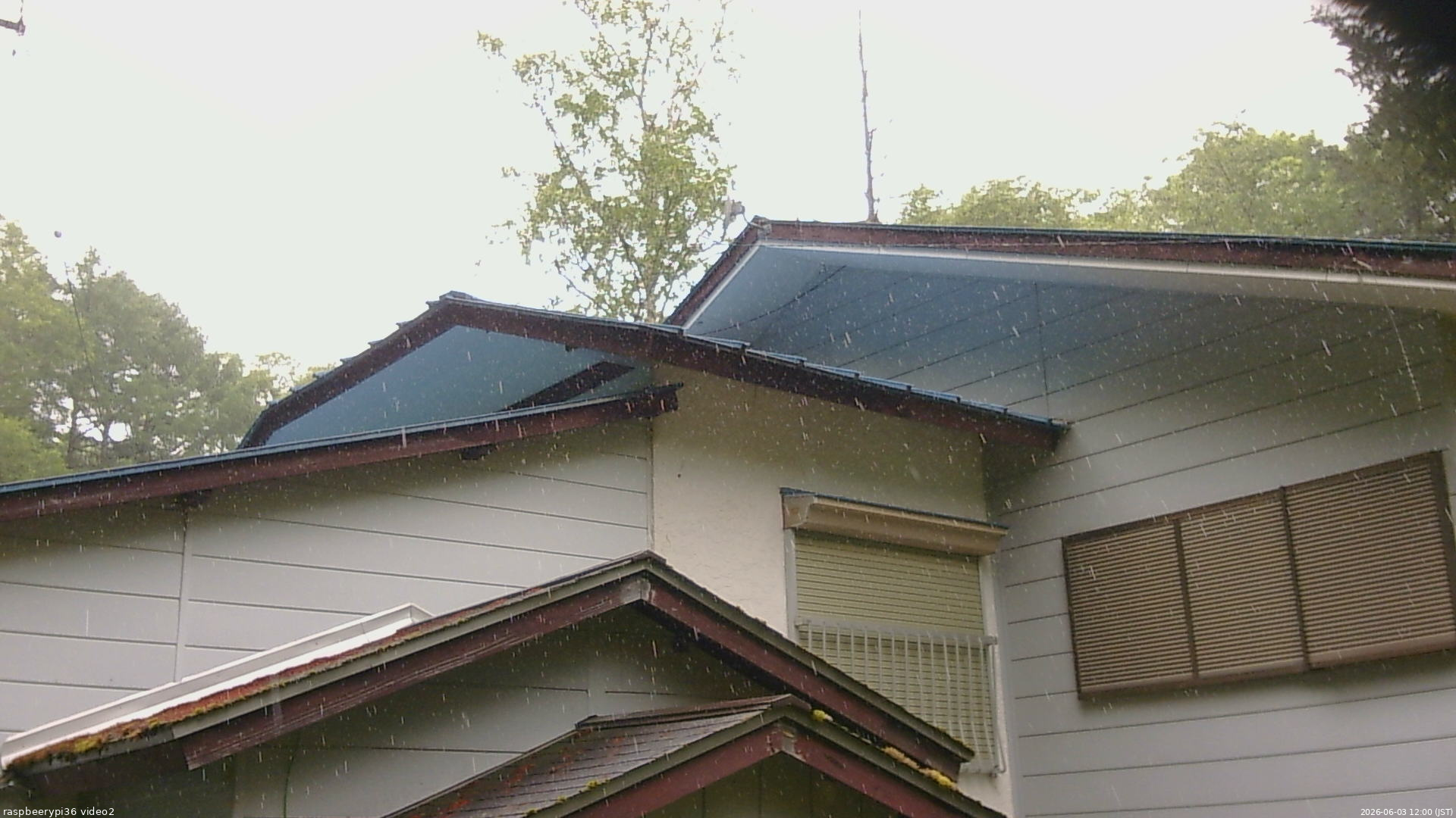 長野県菅平高原 ゆたか山荘 駐車場奥 2026/06/03 12:00