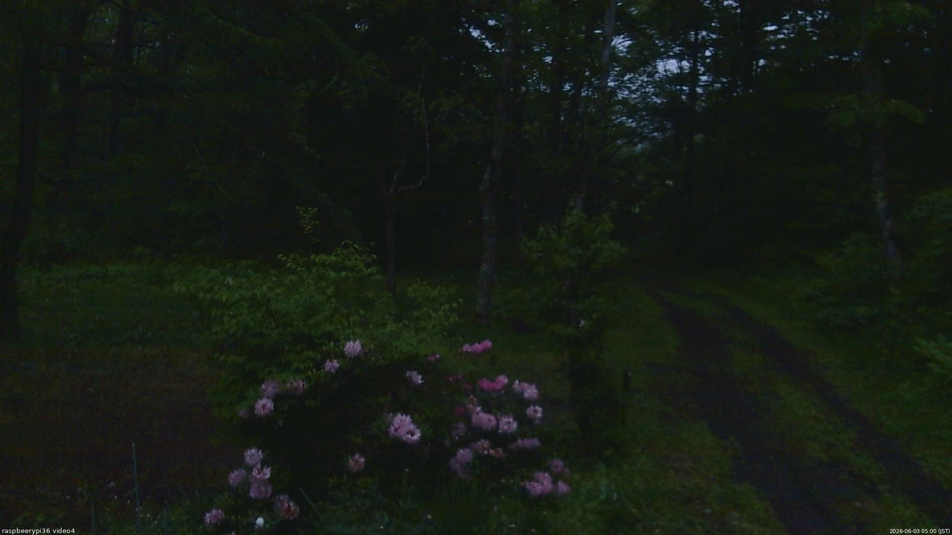 長野県菅平高原 ゆたか山荘 坂上 2026/06/03 05:00