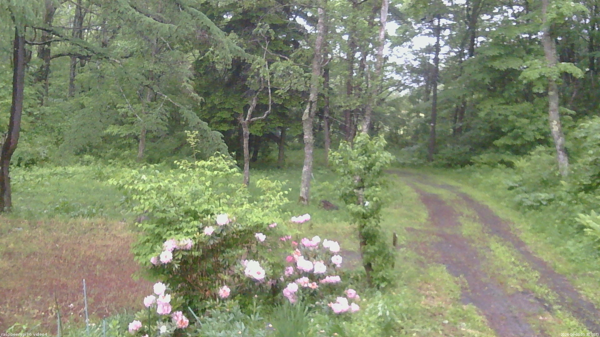 長野県菅平高原 ゆたか山荘 坂上 2026/06/03 05:30