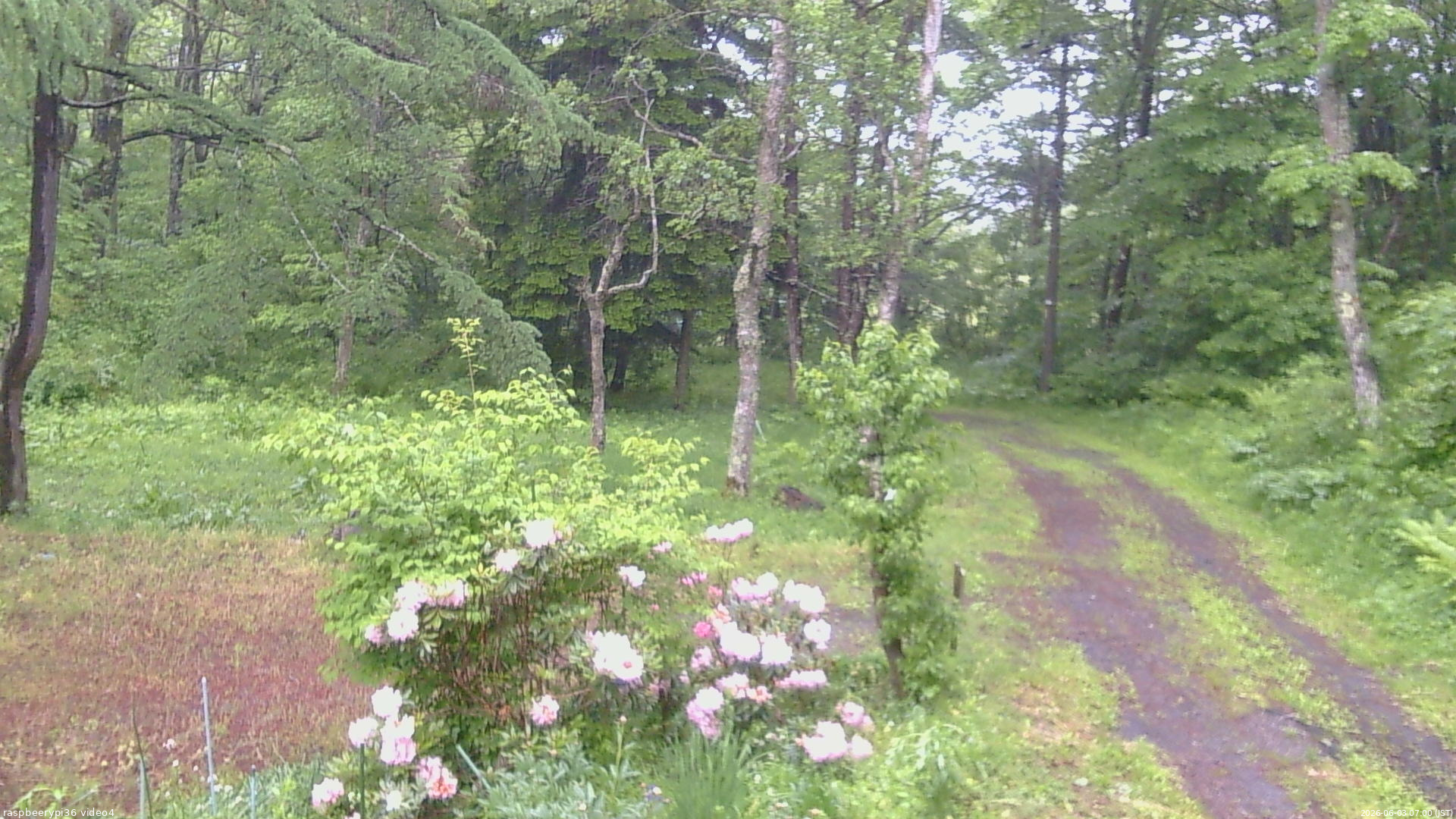 長野県菅平高原 ゆたか山荘 坂上 2026/06/03 07:00