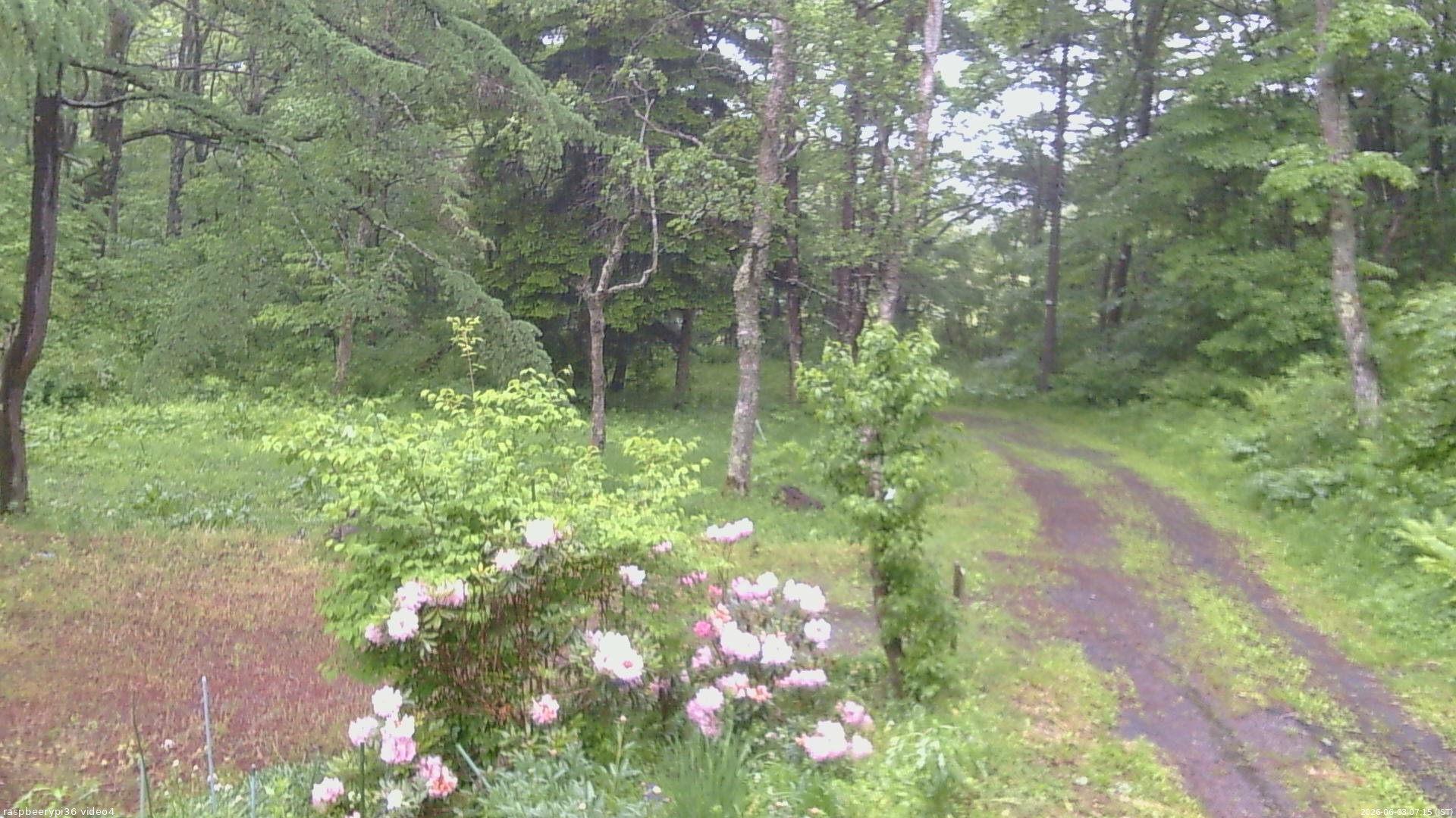 長野県菅平高原 ゆたか山荘 坂上 2026/06/03 07:15