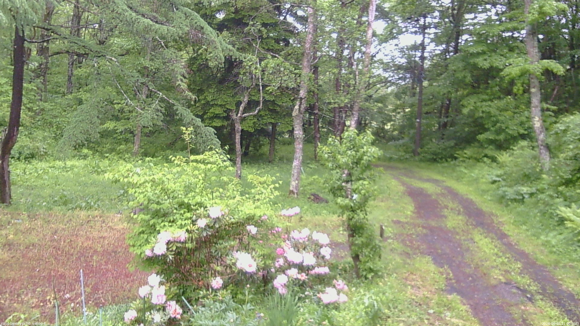 長野県菅平高原 ゆたか山荘 坂上 2026/06/03 11:00