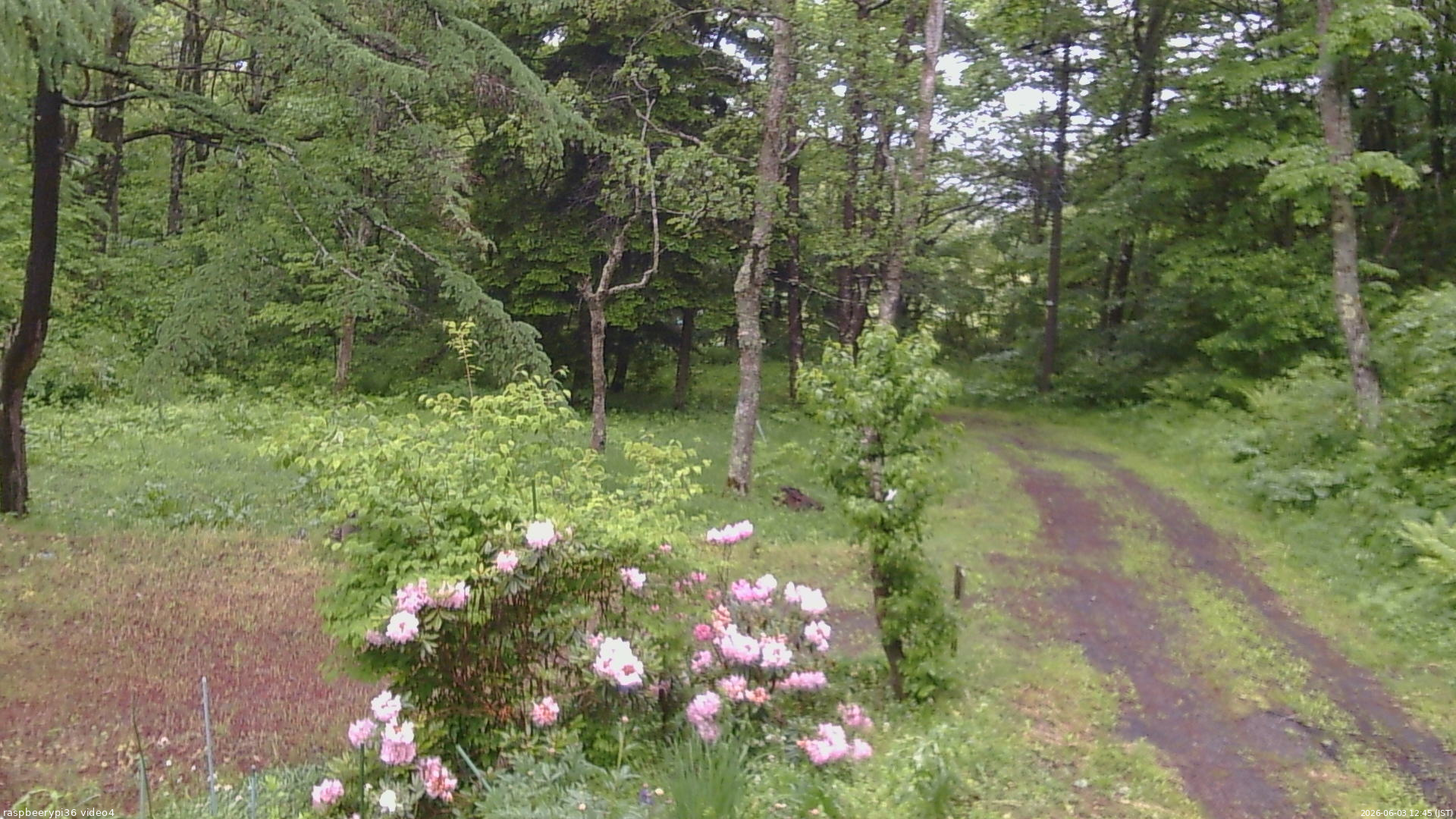 長野県菅平高原 ゆたか山荘 坂上 2026/06/03 12:45
