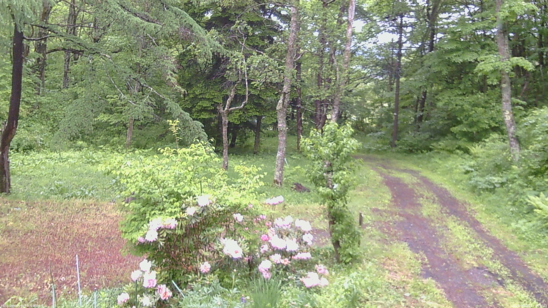 長野県菅平高原 ゆたか山荘 坂上 2026/06/03 13:00