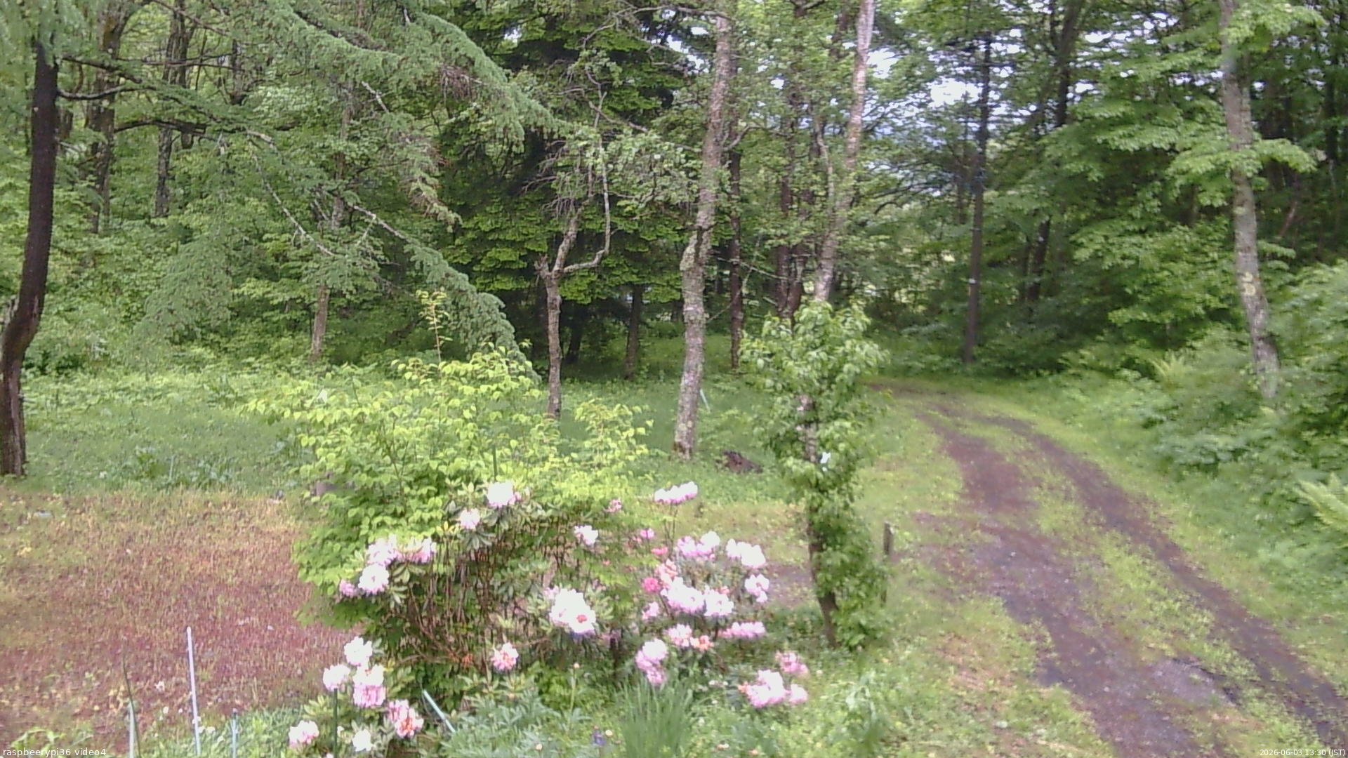 長野県菅平高原 ゆたか山荘 坂上 2026/06/03 13:30