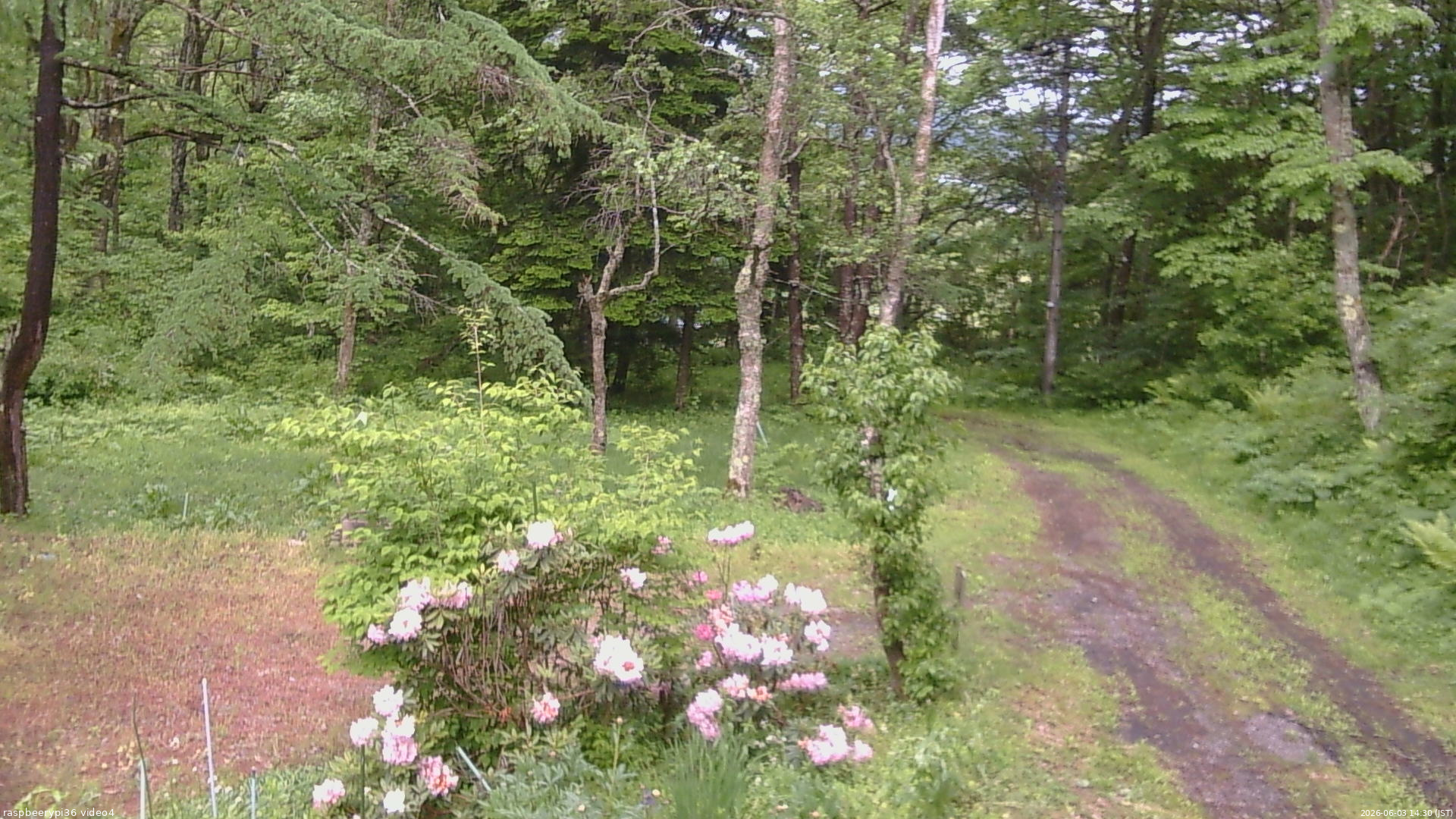 長野県菅平高原 ゆたか山荘 坂上 2026/06/03 14:30