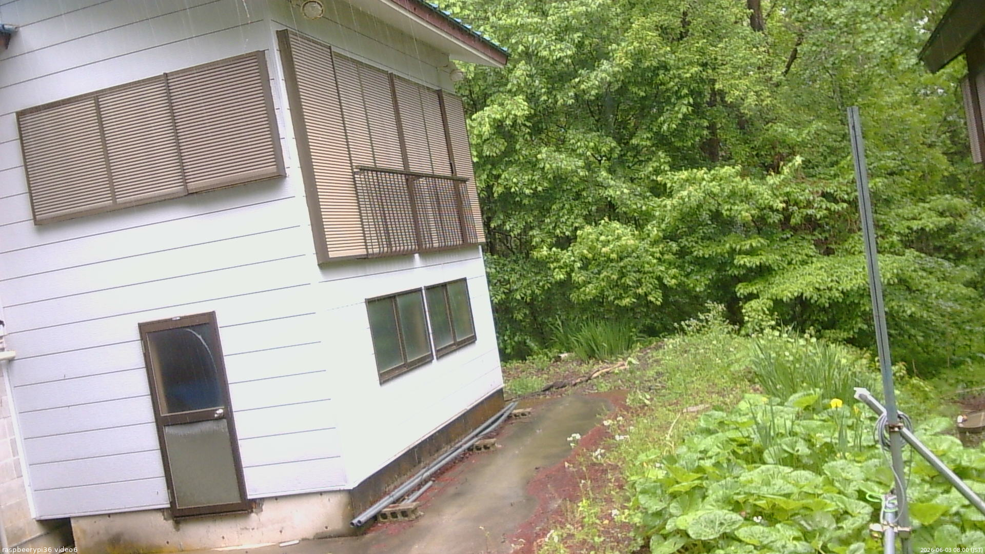 長野県菅平高原 ゆたか山荘 坂下 2026/06/03 08:00