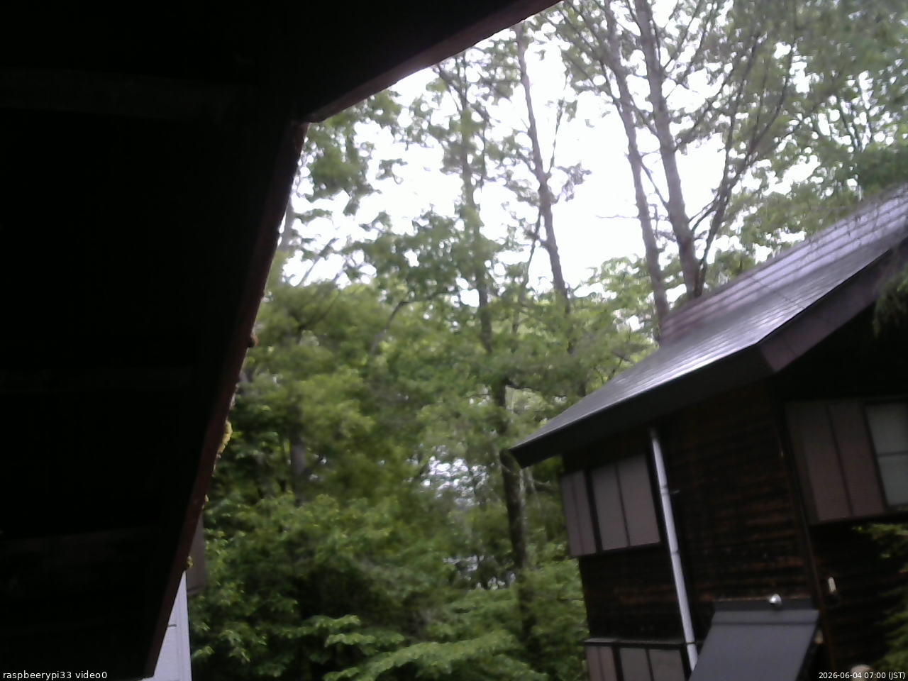 長野県菅平高原 ゆたか山荘 北側 2026/06/04 07:00