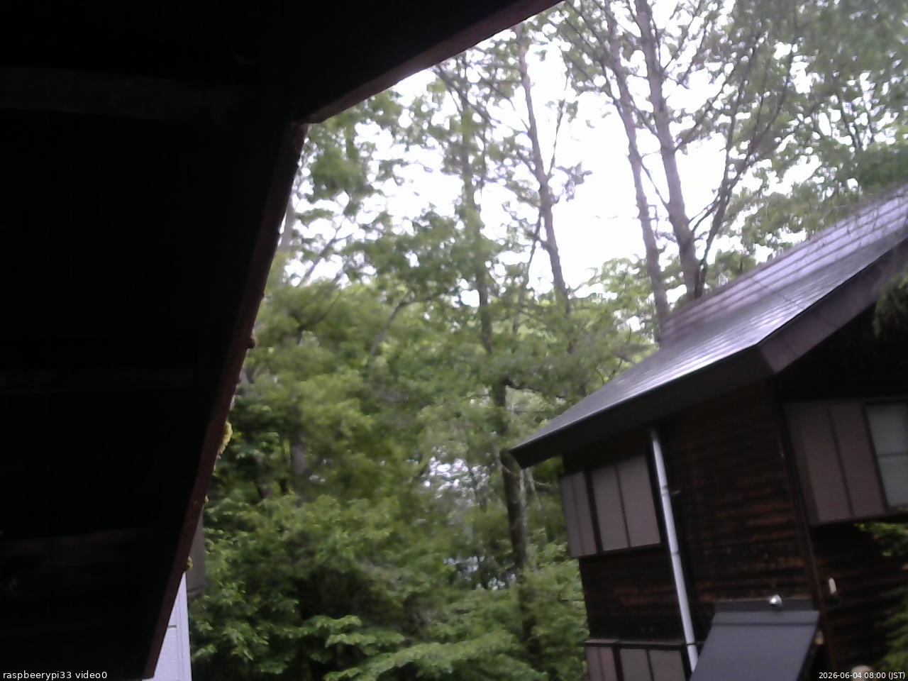 長野県菅平高原 ゆたか山荘 北側 2026/06/04 08:00
