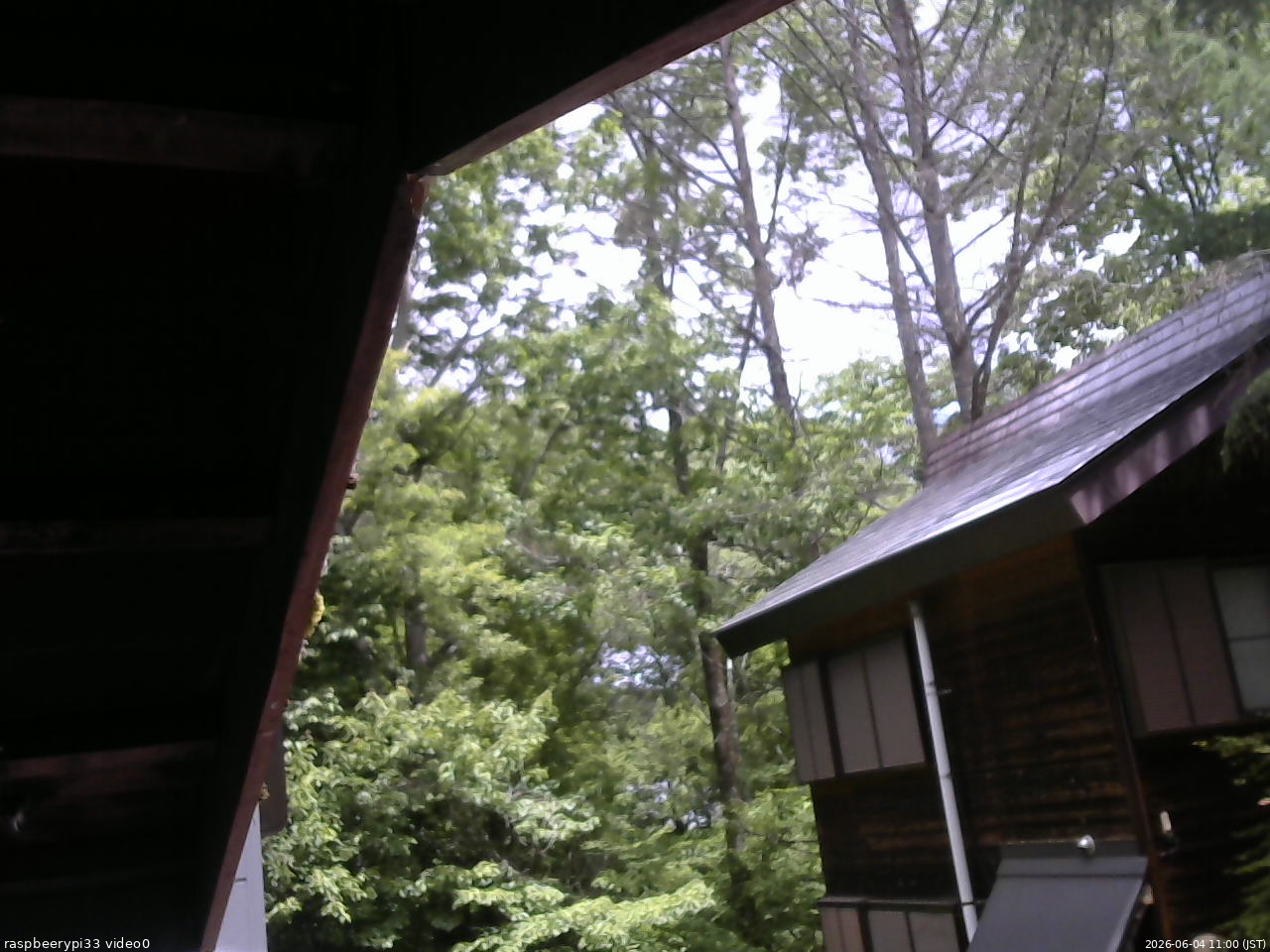 長野県菅平高原 ゆたか山荘 北側 2026/06/04 11:00