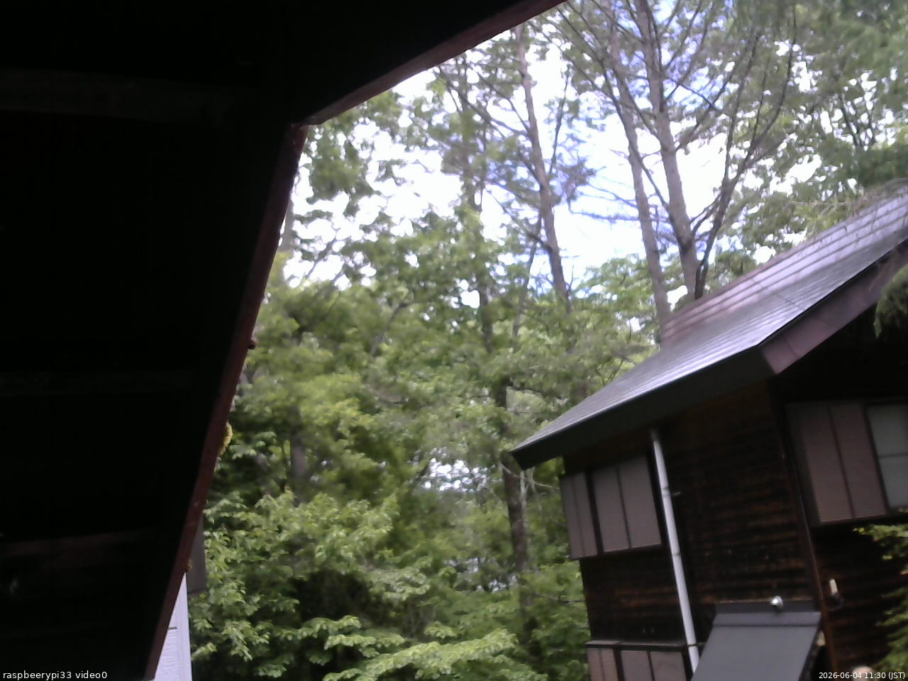 長野県菅平高原 ゆたか山荘 北側 2026/06/04 11:30