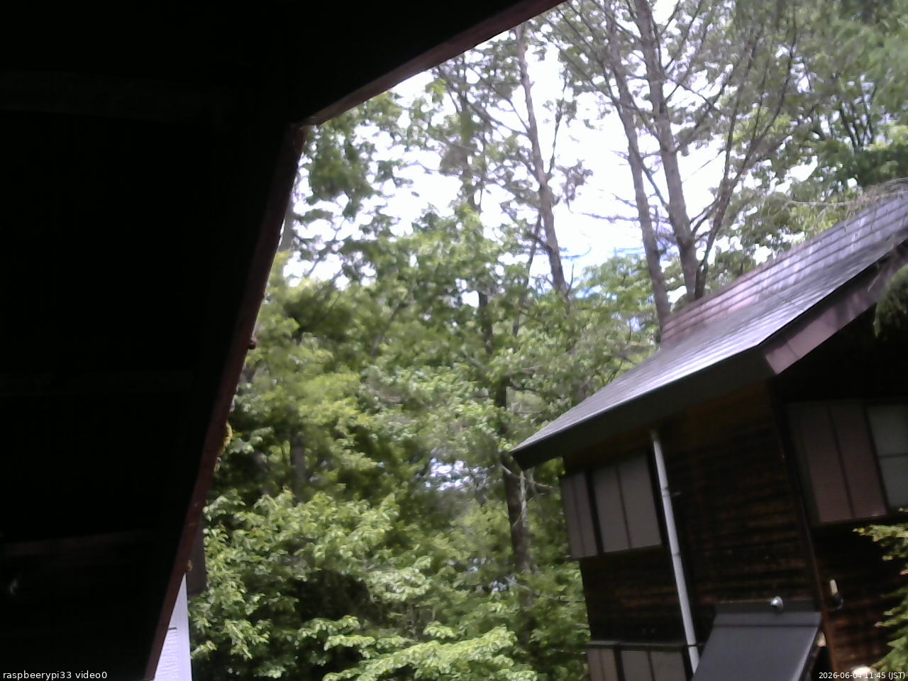 長野県菅平高原 ゆたか山荘 北側 2026/06/04 11:45