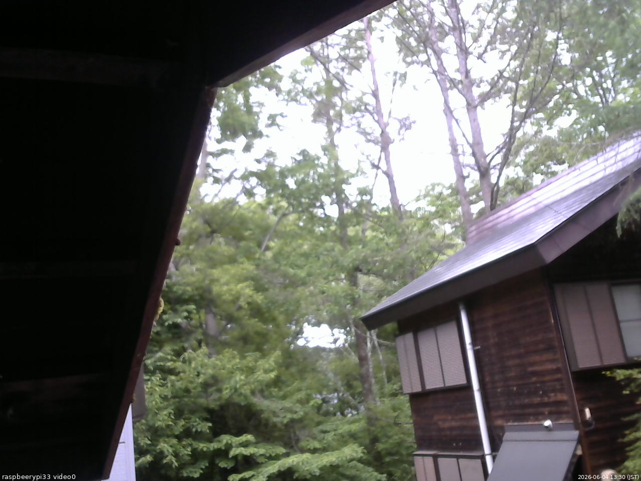 長野県菅平高原 ゆたか山荘 北側 2026/06/04 13:30