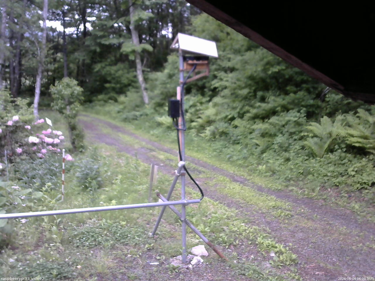 長野県菅平高原 ゆたか山荘 南側 2026/06/04 06:00