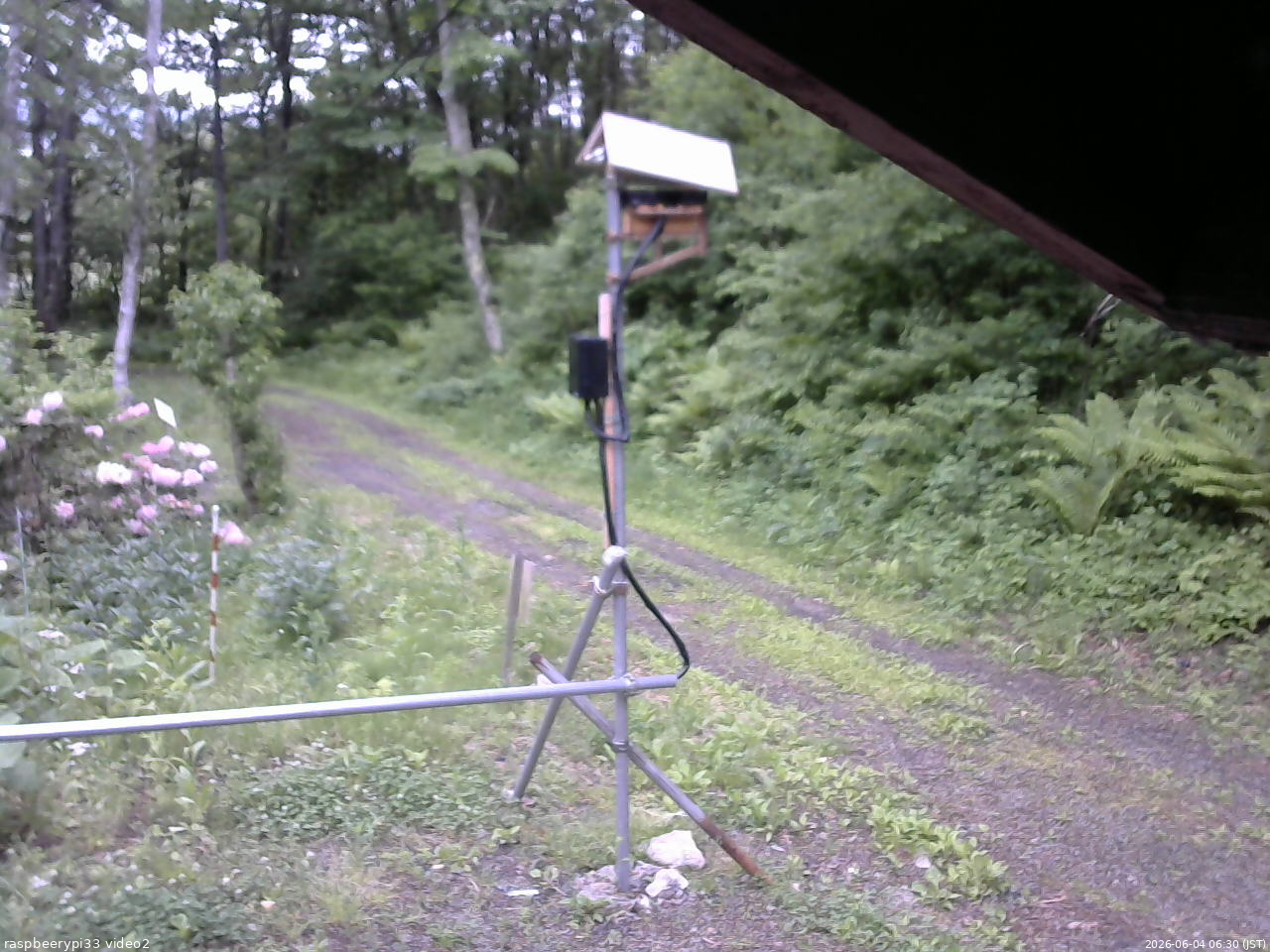 長野県菅平高原 ゆたか山荘 南側 2026/06/04 06:30