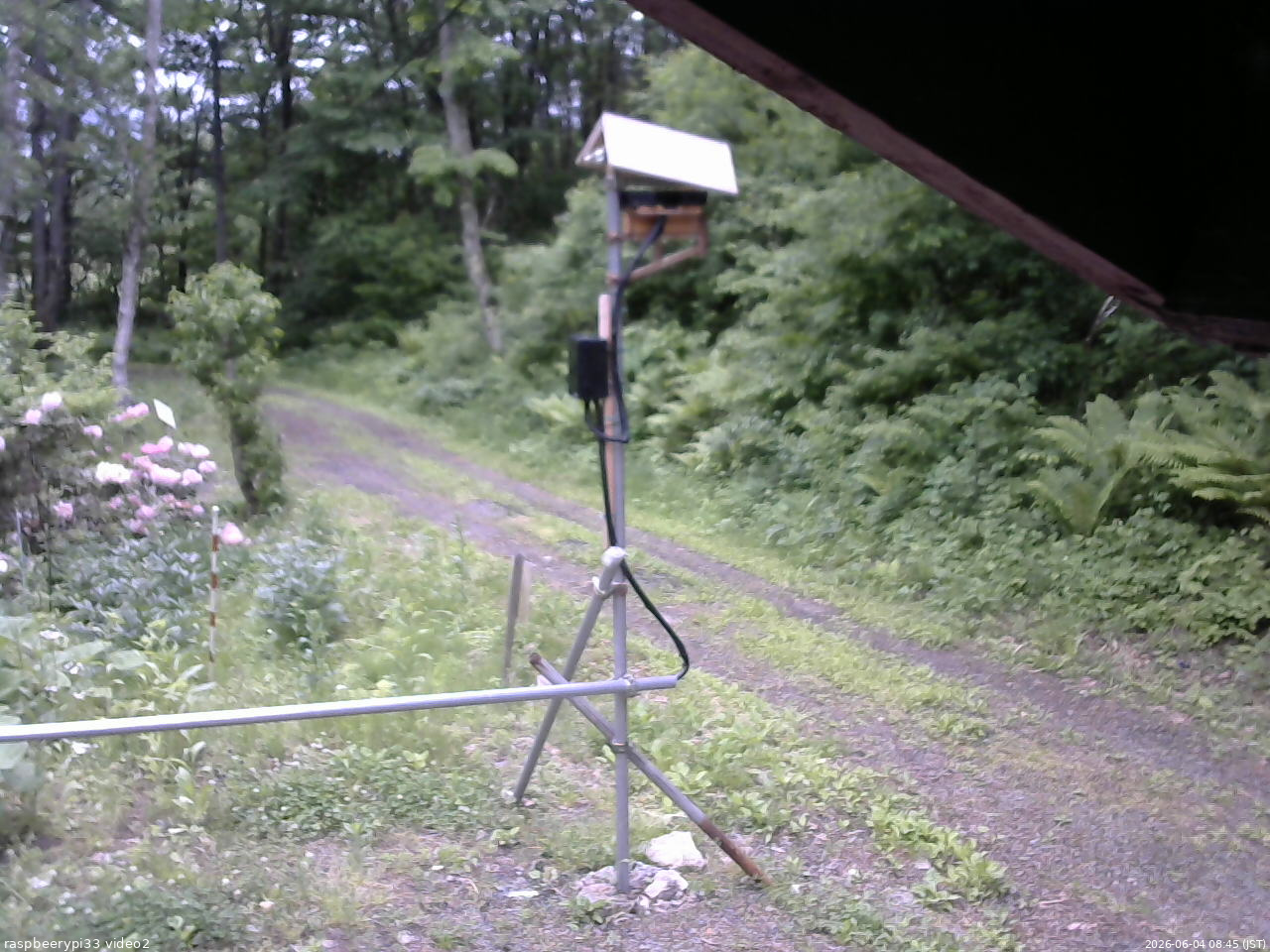 長野県菅平高原 ゆたか山荘 南側 2026/06/04 08:45