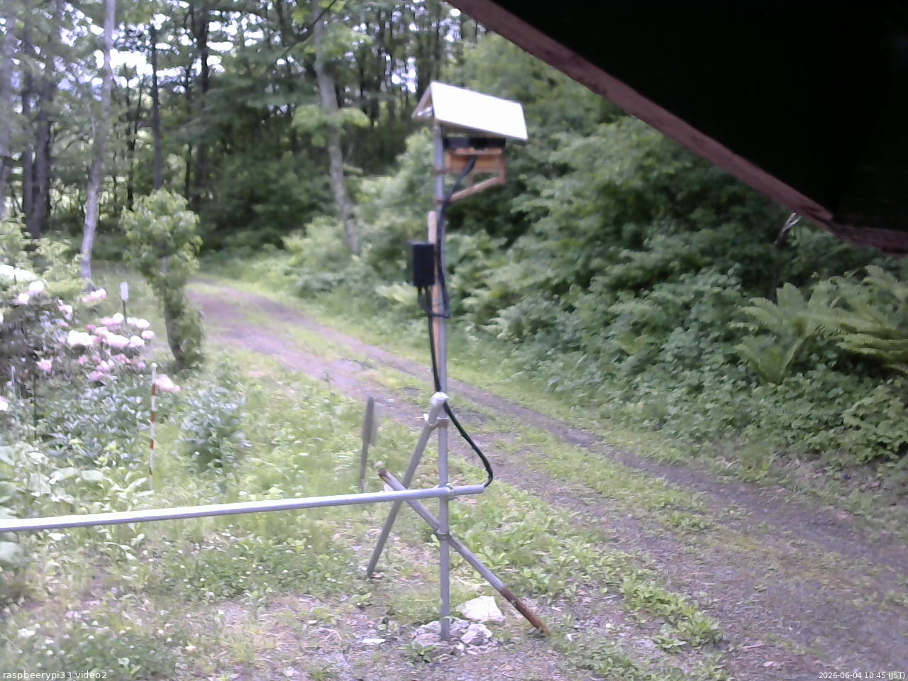 長野県菅平高原 ゆたか山荘 南側 2026/06/04 10:45