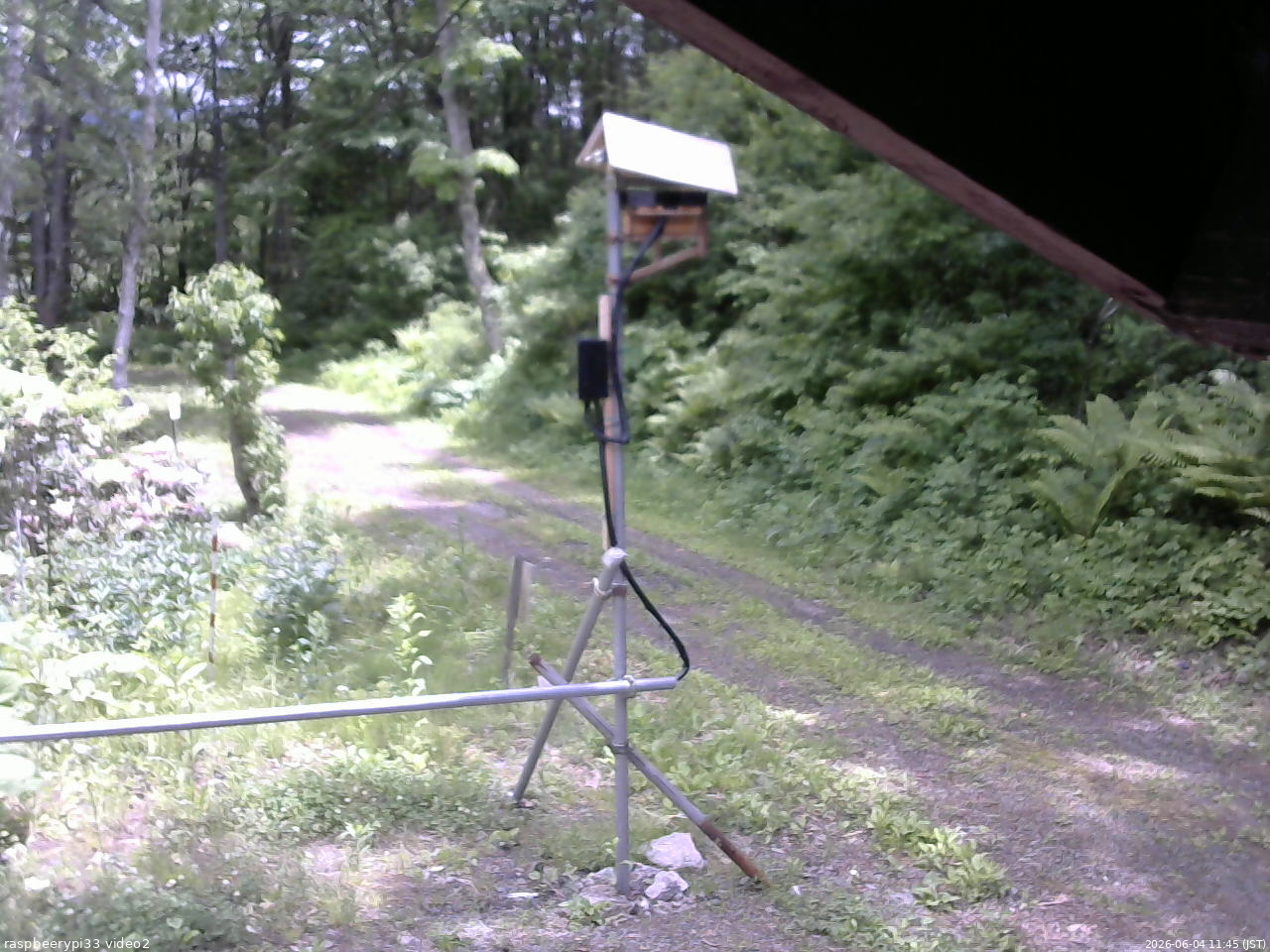 長野県菅平高原 ゆたか山荘 南側 2026/06/04 11:45