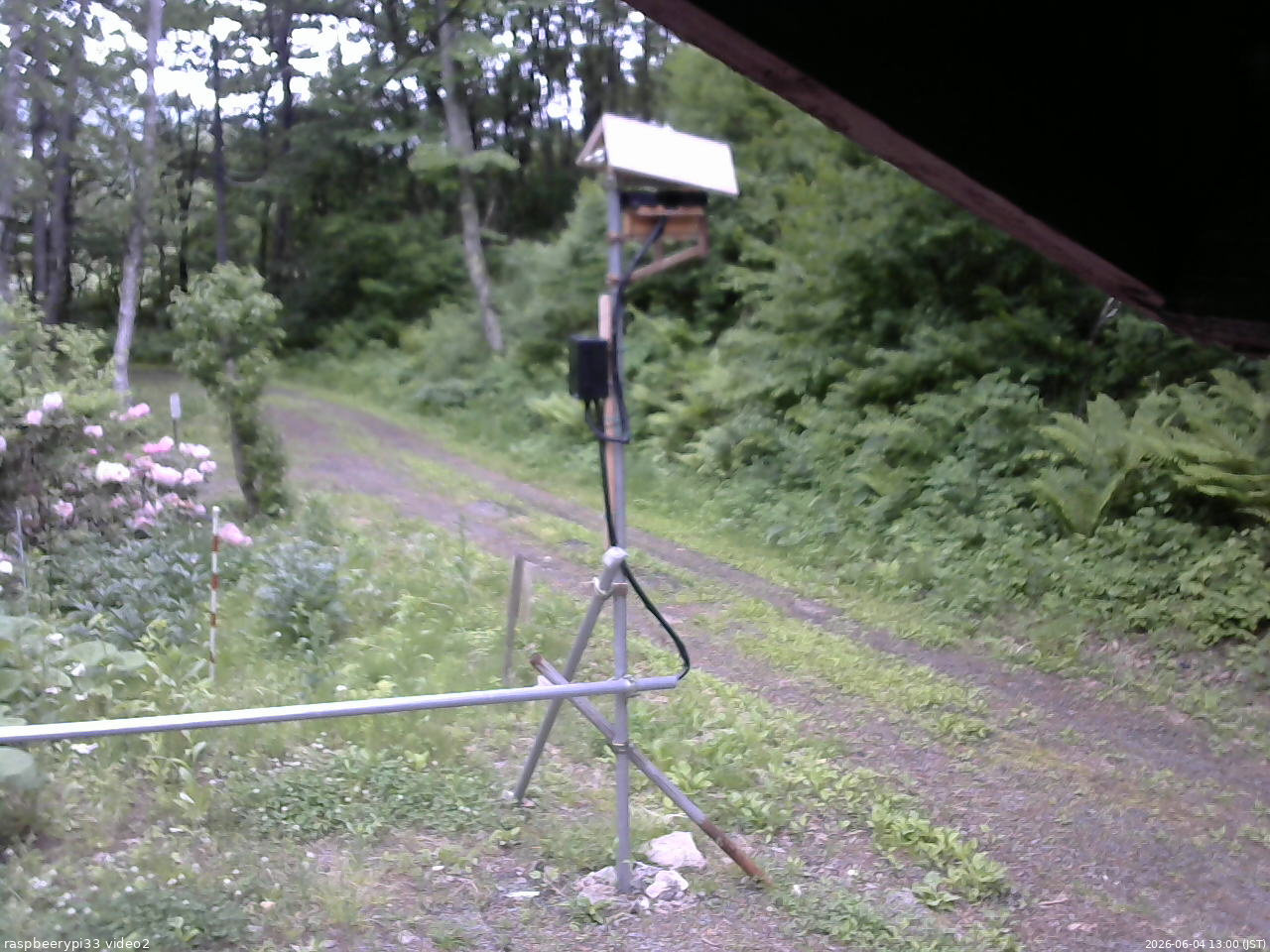 長野県菅平高原 ゆたか山荘 南側 2026/06/04 13:00